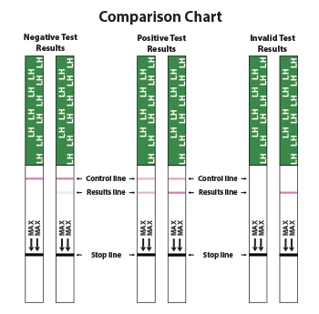 Ovulation Test Strips