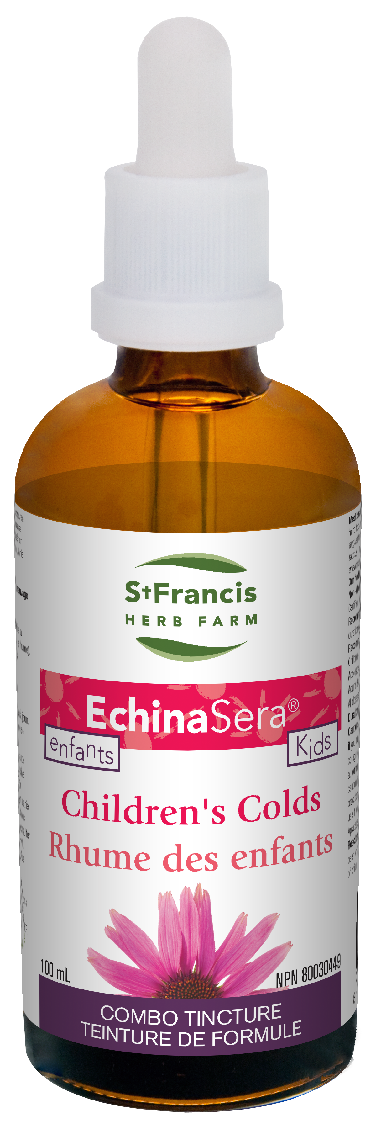 St. Francis: EchinaSera Kids
