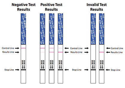 Pregnancy Test Strip